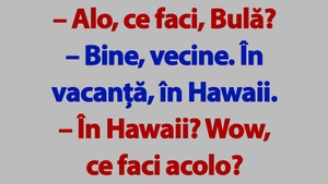 BANC | Bulă și vacanța în Hawaii