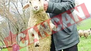 I-a interzis sotiei sa mearga la "Schimb de mame"