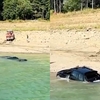 Un bărbat a ajuns cu mașina în Lacul Bicaz după ce ar fi vrut să o spele. Ce a urmat