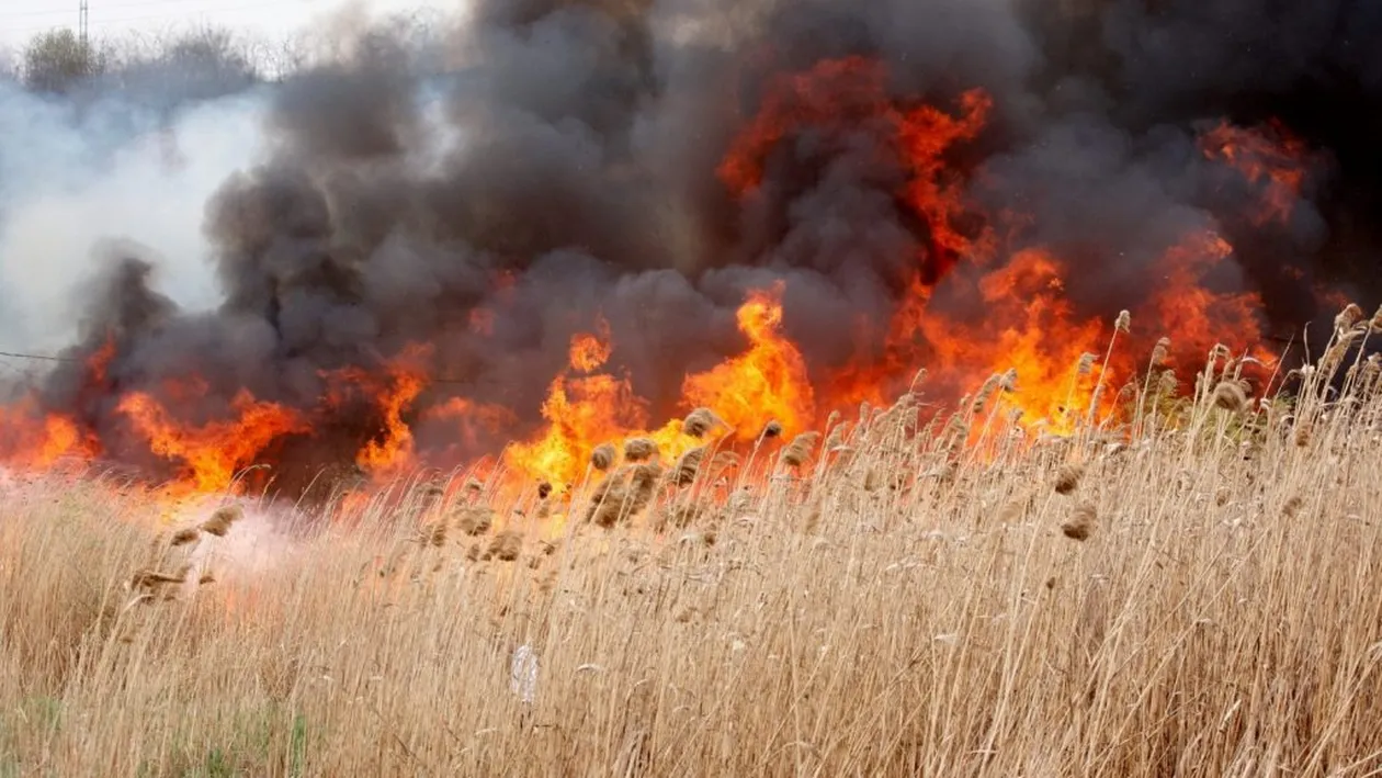 Un bărbat din Prahova a fost surprins de flăcările pe care încerca să le stingă. Starea sa este critică
