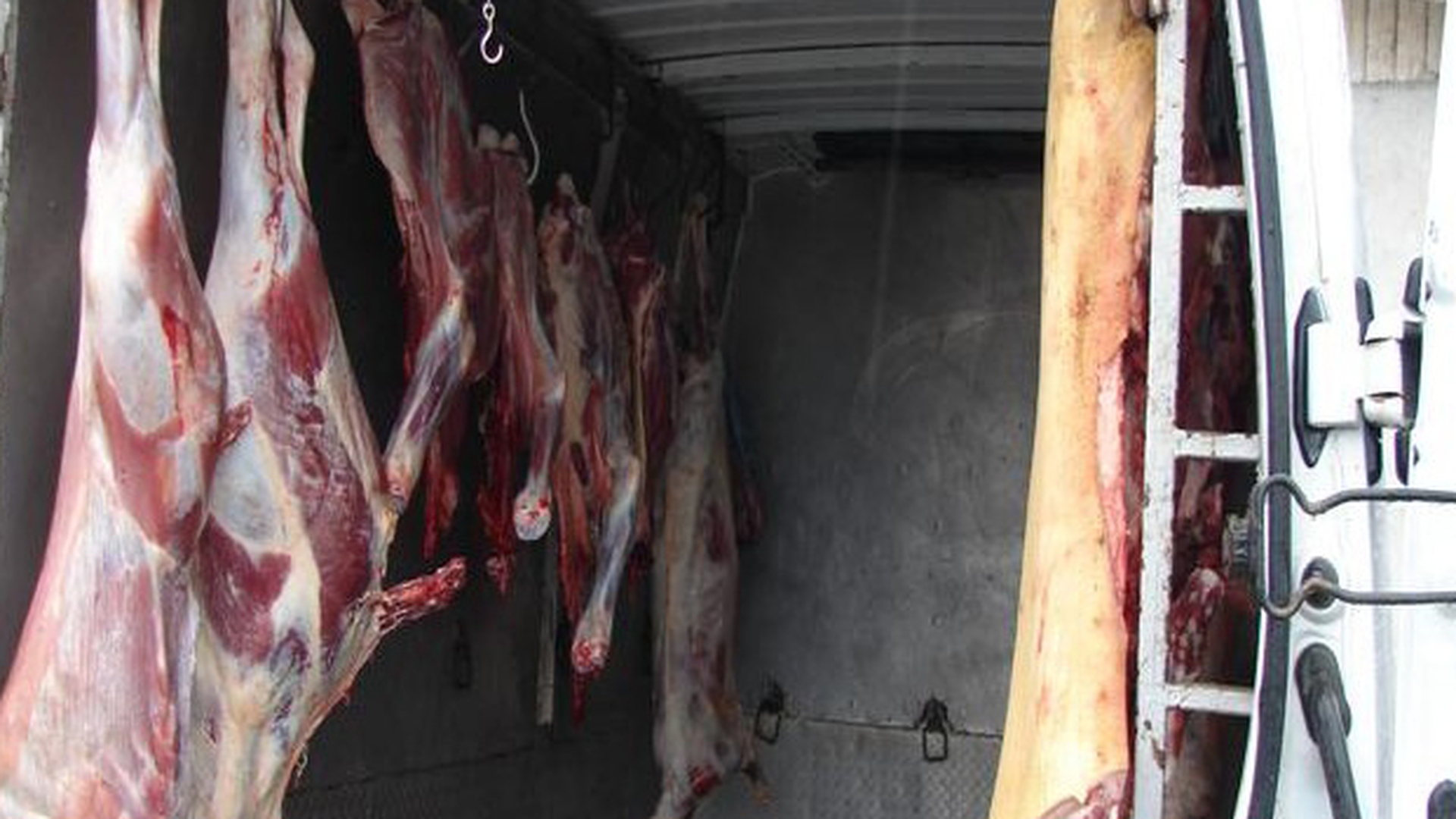 REVOLTATOR Carne de la lesuri de animale, vanduta intr-un magazin din Bucuresti