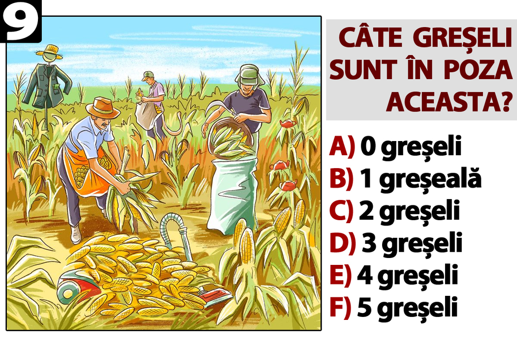 Test de inteligență special pentru genii | Găsiți toate greșelile în aceste 10 poze. Numărul răspunsurilor corecte îți va spune ce IQ ai