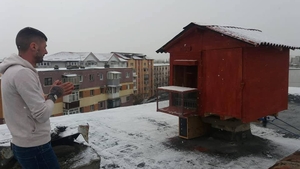 Căsuțe ilegale cu porumbei pe blocurile din Craiova