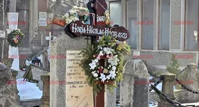 Galerie foto - poza 2