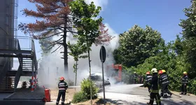 Galerie foto - poza 1