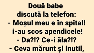 BANCUL ZILEI | Discuție la telefon între două pensionare