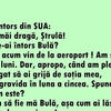BANC | Bulă se întoarce din America