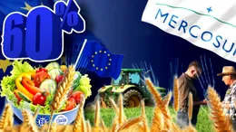 Paradoxul agriculturii României în 2026: suntem cel mai mare exportator de cereale din Uniunea Europeană, dar 60% din legumele din farfurie vin din import. Care sunt explicațiile, ce arată prognozele internaționale și care sunt vulnerabilitățile
