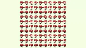 Test IQ | Ai mintea ageră dacă vezi unde se ascunde ciuperca diferită din poza, în doar 7 secunde!