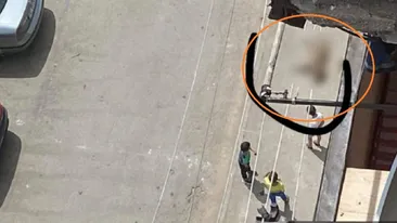 Caz șocant de cruzime asupra animalelor, în Hunedoara! Un copil de 8 ani și-a aruncat câinele de pe bloc