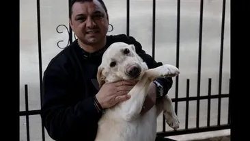 Cum s-au împăcat Ionel Ganea și Ladislau Boloni după ce au fost chiar la un pas de bătaie. Au dansat pe o melodie ungurească. „Vino-ncoace să te-nțep”