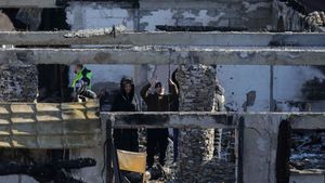 Ce a găsit Cornel Dinicu în cenușă, la Ferma Dacilor. Afaceristul s-a întors la ruinele pensiunii, după o lună de la tragedie