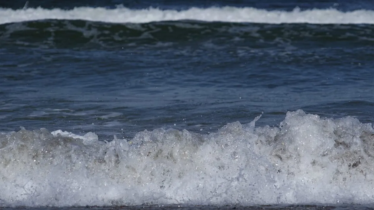 Fenomen bizar la Marea Neagră. Ce a apărut pe plaja din Mamaia, în toiul lunii martie 2024