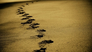 Când se va deschide sezonul turistic pe Litoral. Anunțul optimist al ministrului Economiei: „Toți ne dorim ca în august...”