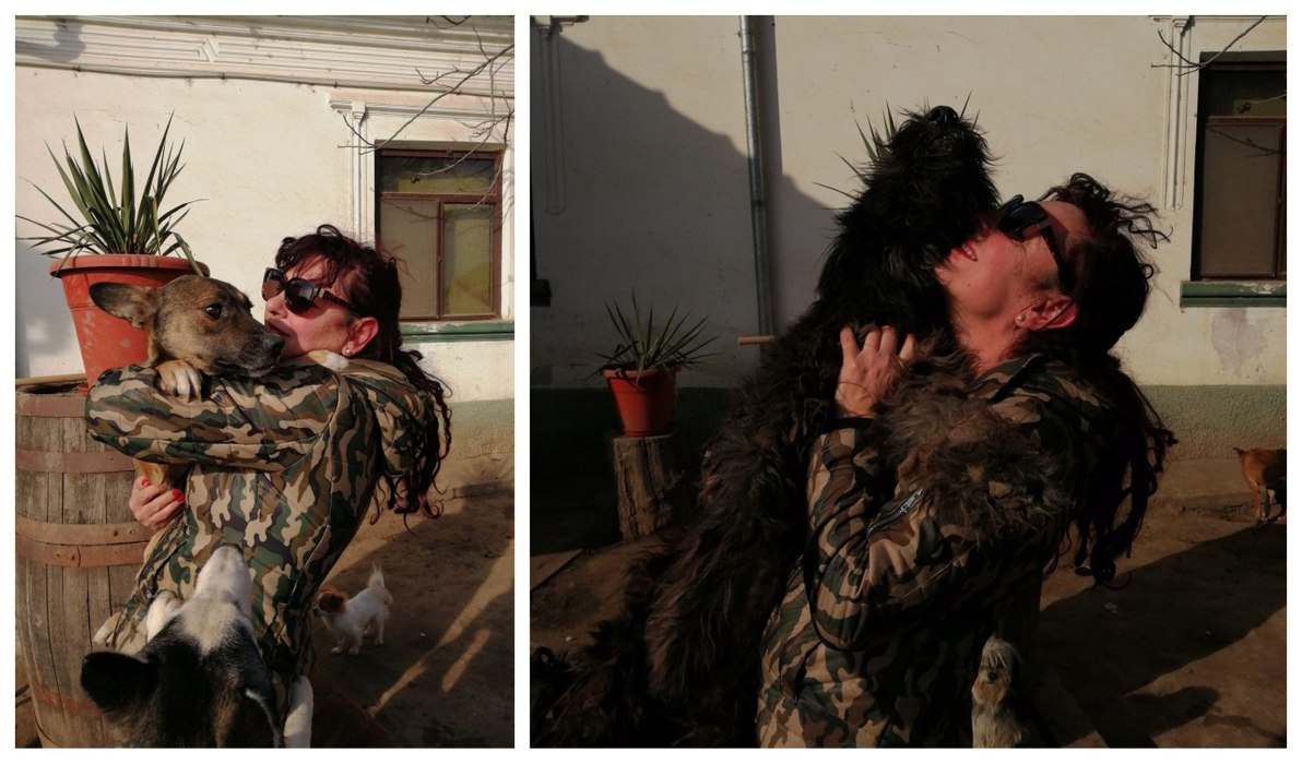 Ce s-a ales de câinii monstrului din Caracal! Imagini noi cu animalele care au îngrozit-o pe Alexandra Măceșanu: “Dincă le ținea în lanțuri”