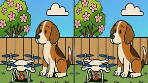 Test de perspicacitate | Găsiți toate cele 3 diferențe în maximum 27 de secunde!