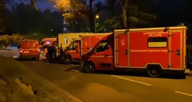 Galerie foto - poza 1