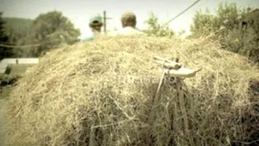 A cazut in cap de la trei metri, de pe fanul din caruta! Un barbat din Vaslui e in stare grava la spital!