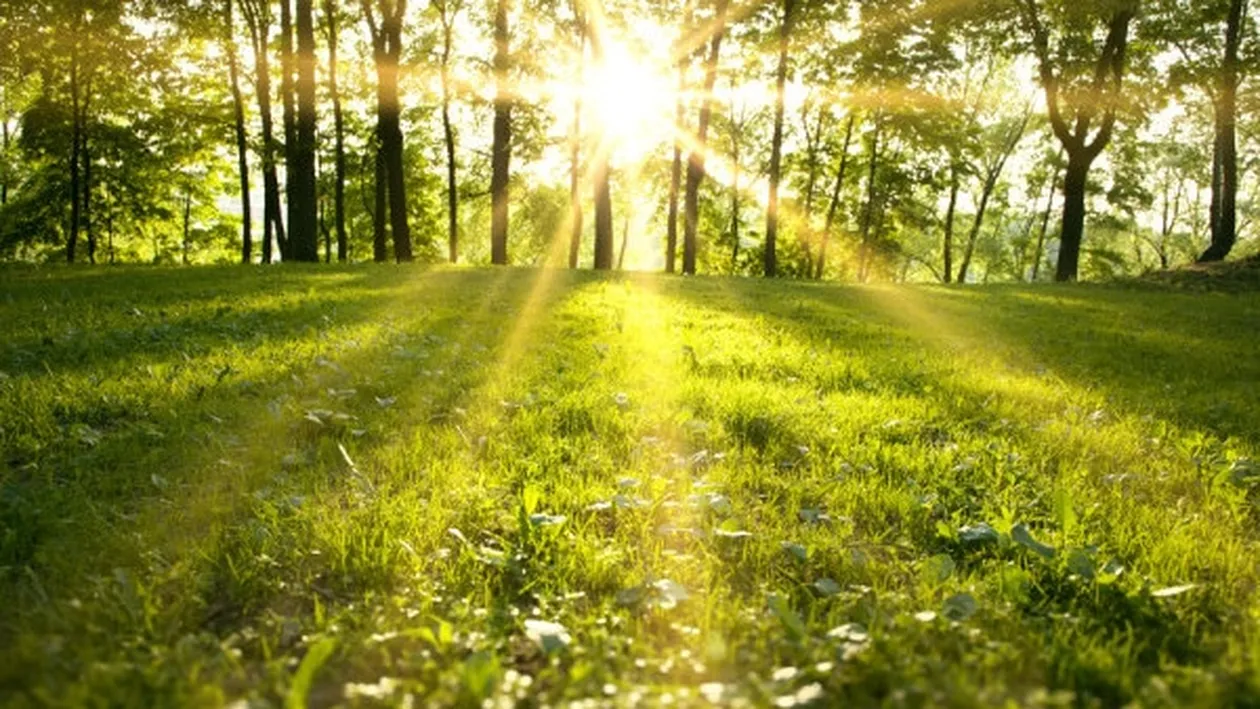 Vremea se încălzește! Prognoza meteo pentru următoarea perioadă. Cum va fi de Paște