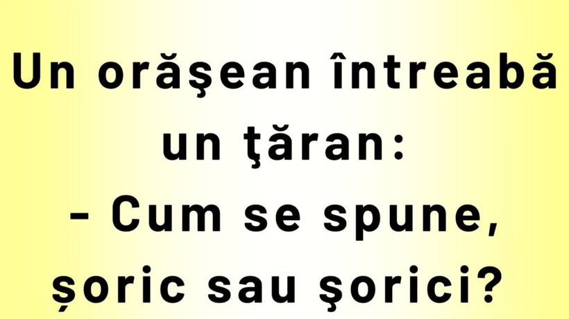BANCUL ZILEI | „Cum se spune: șoric sau șorici?”