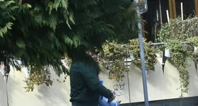 Galerie foto - poza 4