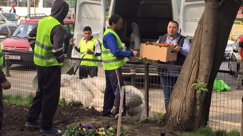 Un altfel de 1 Mai! Au iesit sa planteze flori!
