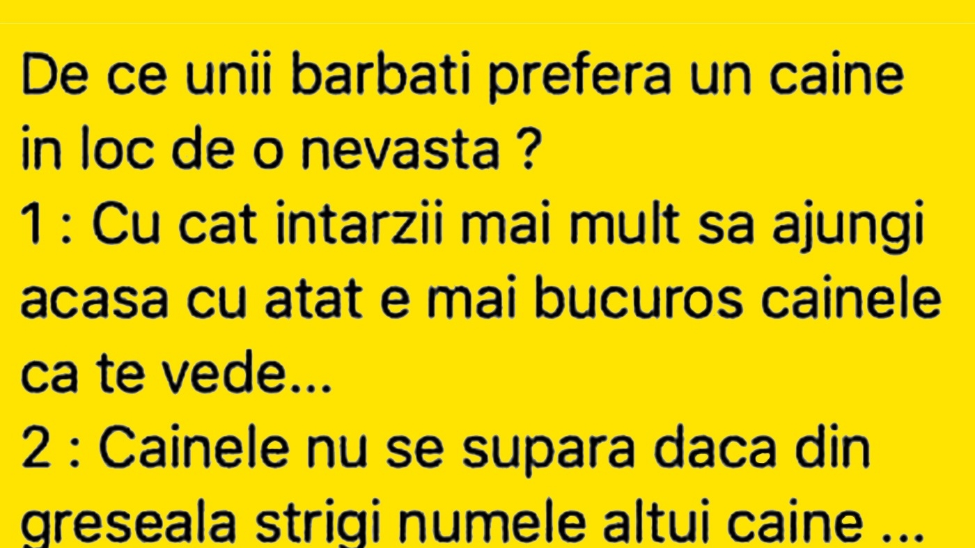 BANC | De ce unii bărbați preferă un câine în loc de nevastă