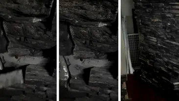 Un bărbat a descoperit o cameră secretă în casa în care locuia de 5 ani. “E ca într-un coșmar”. Ce se afla înăuntru | FOTO & VIDEO