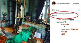 Galerie foto - poza 4