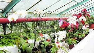 Paradisul "secret" din Herastrau