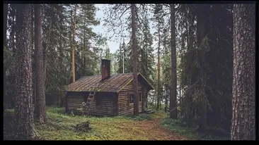 Iluzie optică | Tu vezi ursul ascuns în imagine? Doar cei mai inteligenţi îl pot observa