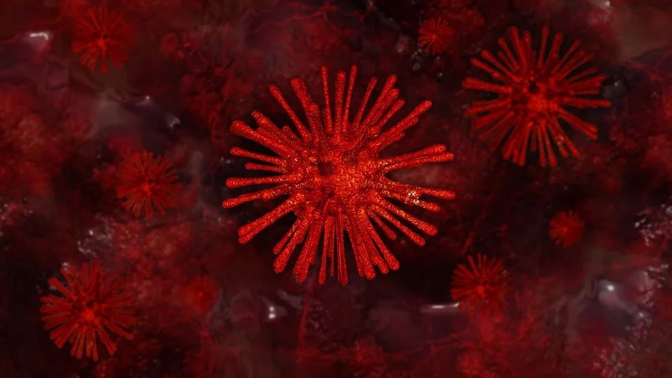 Descoperire revoluționară în medicină! Un vaccin universal împotriva tuturor virusurilor