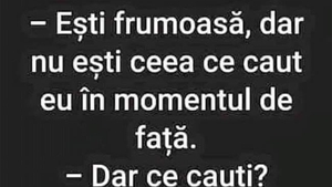 BANC | "Ești frumoasă, dar..."