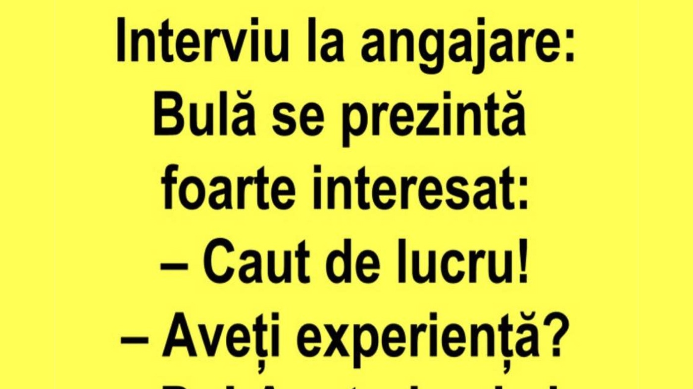 BANC | Bulă se prezintă la un interviu de angajare