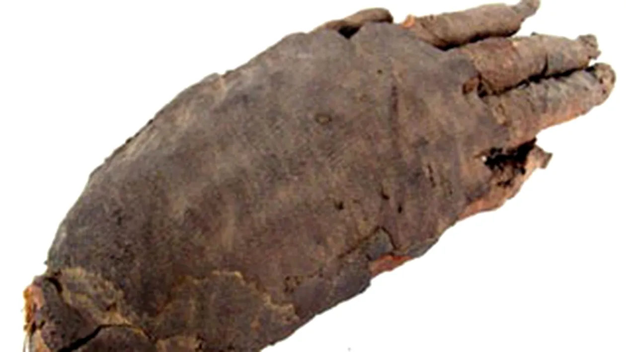 O mana mumificata din Marea Britanie a fost furata de mai multe ori si a reaparut la scurt timp