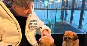 Galerie foto - poza 1