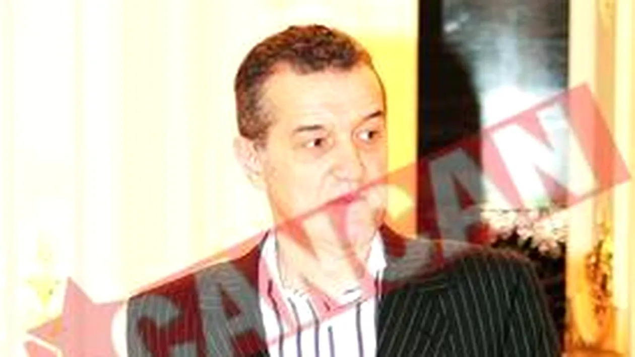 Mircea Sandu a cerut anchete in cazurile Gigi Becali si Chivorchian