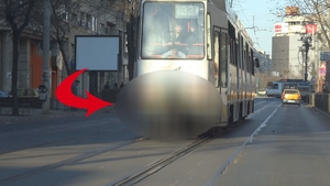 INCREDIBIL! S-a intamplat chiar in centrul Bucurestiului! Soferii au facut ochii mari cand au vazut ASTA in trafic: VIDEO