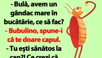 Bancul dimineții | Bulă, avem un gândac mare în bucătărie, ce să fac?