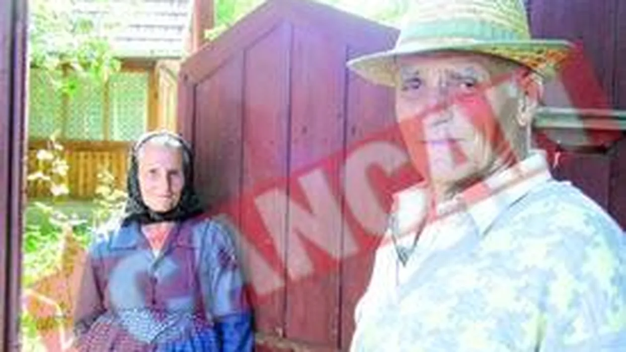 Mortii Clujului, ingropati in gradini