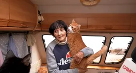 Galerie foto - poza 2