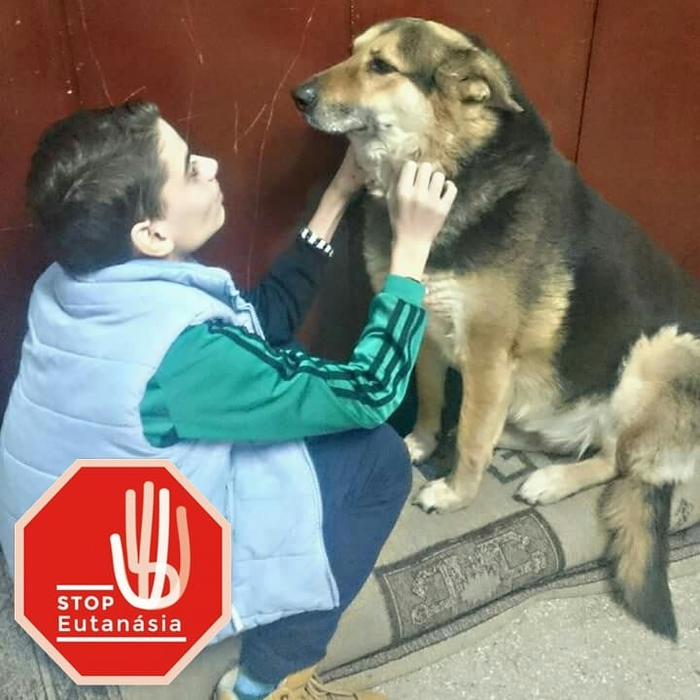 Costi, implicat în numeroase acțiuni umanitare