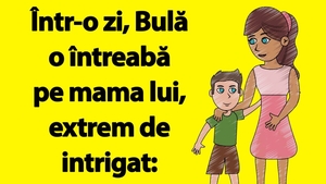 BANC | Dilema lui Bulă