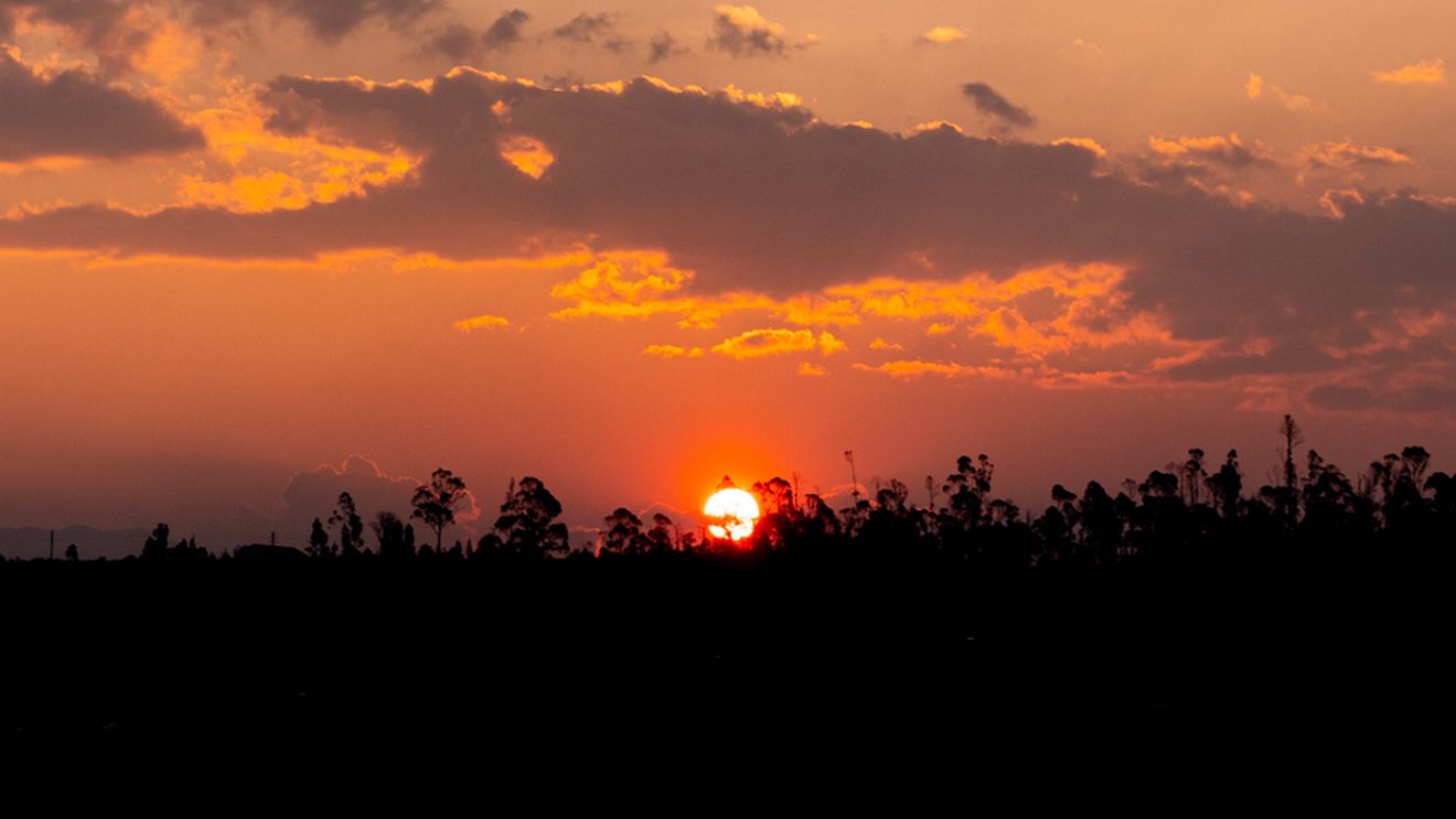 Oamenii de știință au fost puși la zid pentru că nu spun adevărul din spatele schimbărilor climatice. Despre ce fenomen ascuns este vorba