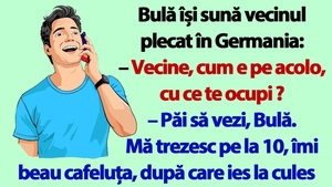 BANC | Bulă își sună vecinul plecat în Germania