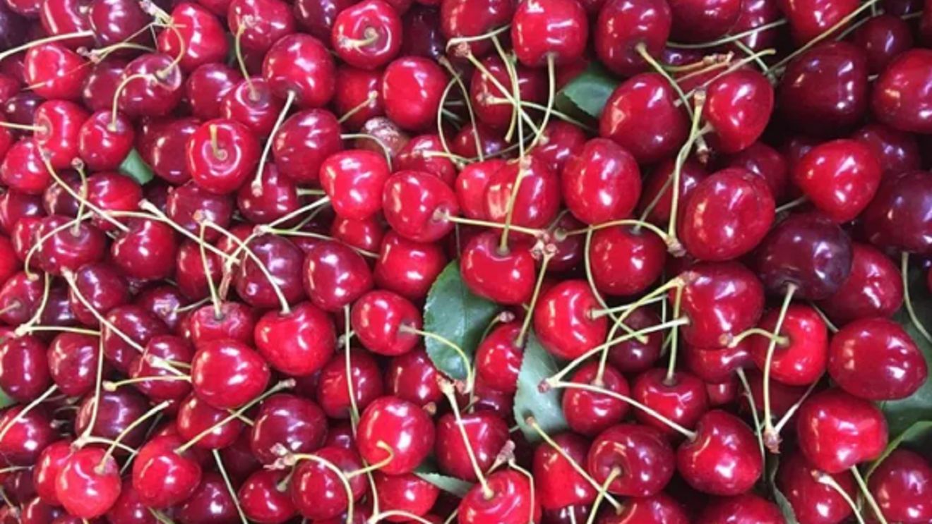 Cireșele de mai, scoase la vânzare la un preț incredibil. Nici nu se compară cu suma cerută în piețele din București, Cluj sau Timișoara