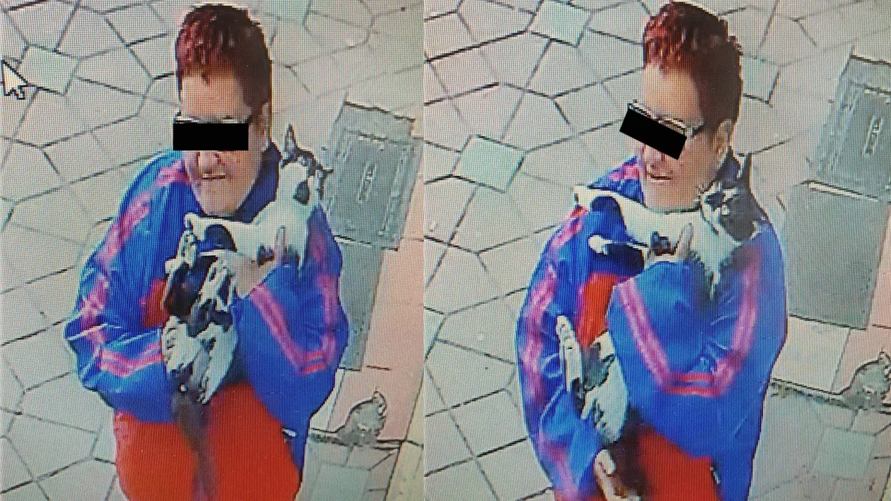 Angajații unui cabinet veterinar din Iași au cerut ajutorul pe Facebook: “Această doamnă a luat un motan, nu știm ce intenții a avut”