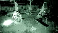 Scene şocante la Survivor, în miez de noapte: Era să murim