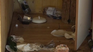 Un urs flămând a devastat o cabană din Sovata! “A făcut pagube mai ales la frigider”