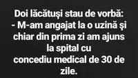 BANC | Doi lăcătuși stau de vorbă